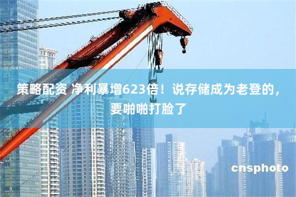 策略配资 净利暴增623倍！说存储成为老登的，要啪啪打脸了