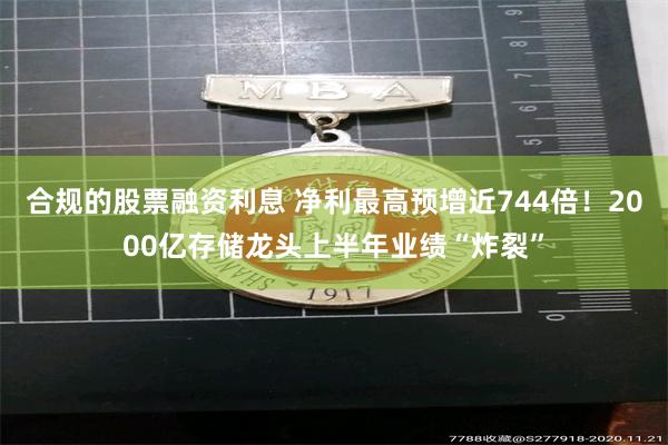 合规的股票融资利息 净利最高预增近744倍！2000亿存储龙头上半年业绩“炸裂”