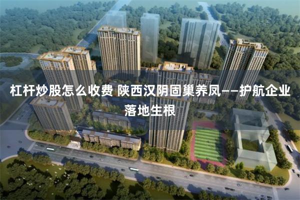 杠杆炒股怎么收费 陕西汉阴固巢养凤——护航企业落地生根