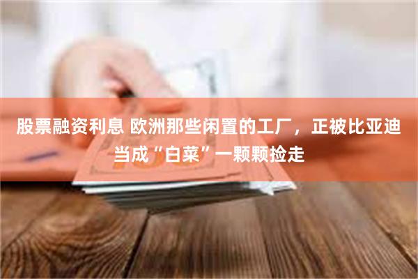 股票融资利息 欧洲那些闲置的工厂，正被比亚迪当成“白菜”一颗颗捡走