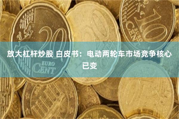 放大杠杆炒股 白皮书：电动两轮车市场竞争核心已变