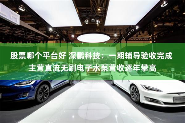 股票哪个平台好 深鹏科技：一期辅导验收完成 主营直流无刷电子水泵营收逐年攀高
