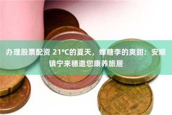 办理股票配资 21℃的夏天，蜂糖李的爽甜：安顺镇宁来穗邀您康养旅居