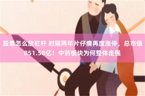 股票怎么放杠杆 时隔两年片仔癀再度涨停，总市值851.58亿！中药板块为何整体走强