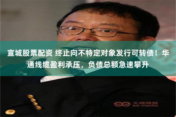 宣城股票配资 终止向不特定对象发行可转债！华通线缆盈利承压，负债总额急速攀升