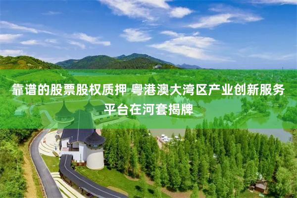 靠谱的股票股权质押 粤港澳大湾区产业创新服务平台在河套揭牌