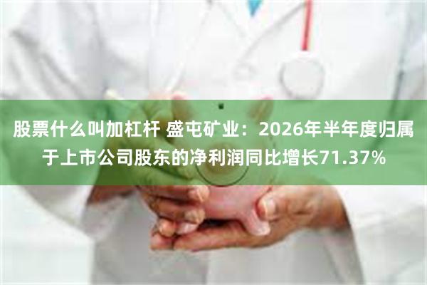 股票什么叫加杠杆 盛屯矿业：2026年半年度归属于上市公司股东的净利润同比增长71.37%