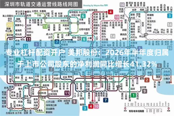 专业杠杆配资开户 美邦股份：2026年半年度归属于上市公司股东的净利润同比增长41.32%