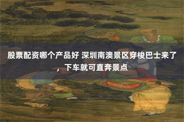 股票配资哪个产品好 深圳南澳景区穿梭巴士来了，下车就可直奔景点