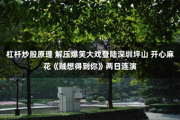 杠杆炒股原理 解压爆笑大戏登陆深圳坪山 开心麻花《贼想得到你》两日连演