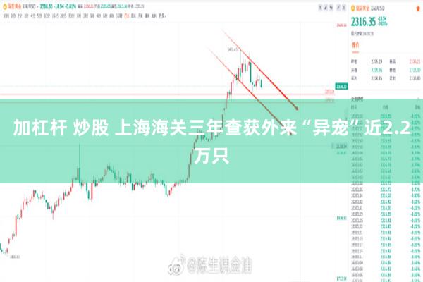 加杠杆 炒股 上海海关三年查获外来“异宠”近2.2万只