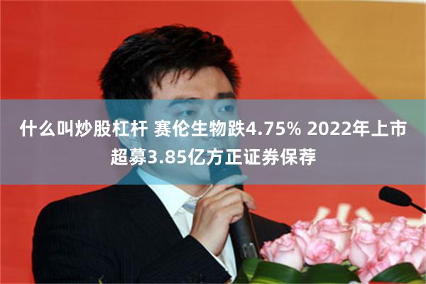 什么叫炒股杠杆 赛伦生物跌4.75% 2022年上市超募3.85亿方正证券保荐