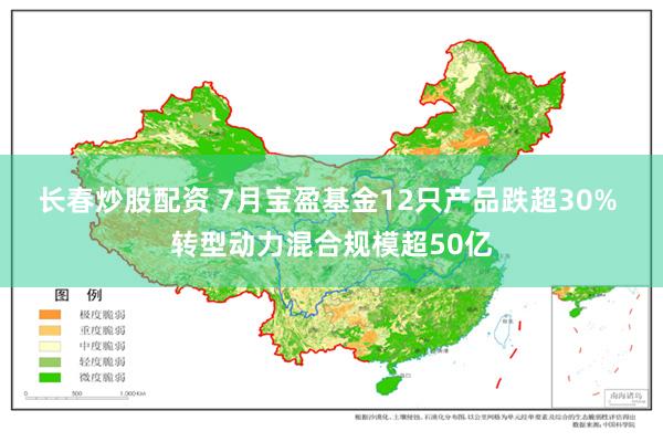 长春炒股配资 7月宝盈基金12只产品跌超30% 转型动力混合规模超50亿