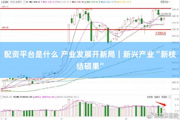 配资平台是什么 产业发展开新局｜新兴产业“新枝结硕果”
