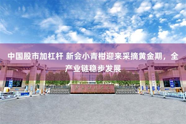 中国股市加杠杆 新会小青柑迎来采摘黄金期，全产业链稳步发展