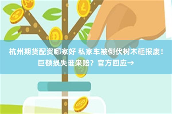 杭州期货配资哪家好 私家车被倒伏树木砸报废！巨额损失谁来赔？官方回应→