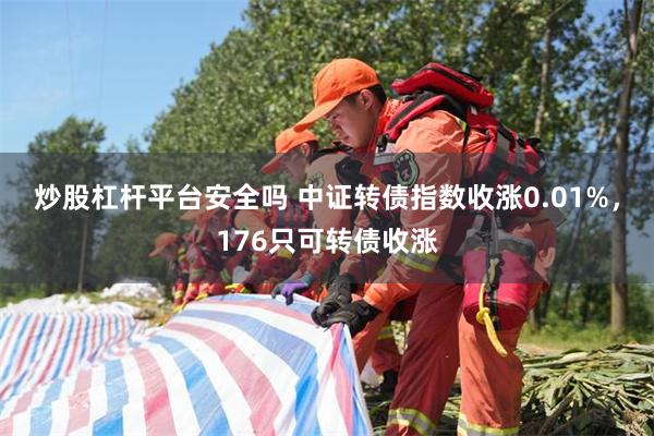 炒股杠杆平台安全吗 中证转债指数收涨0.01%，176只可转债收涨