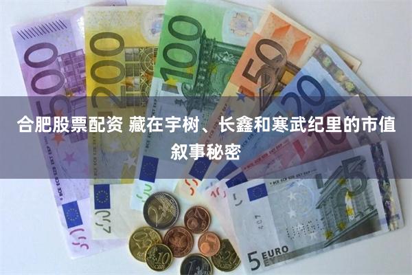 合肥股票配资 藏在宇树、长鑫和寒武纪里的市值叙事秘密