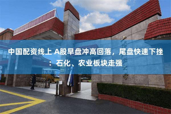 中国配资线上 A股早盘冲高回落，尾盘快速下挫：石化、农业板块走强
