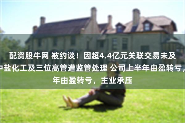 配资股牛网 被约谈！因超4.4亿元关联交易未及时披露，中盐化工及三位高管遭监管处理 公司上半年由盈转亏，主业承压