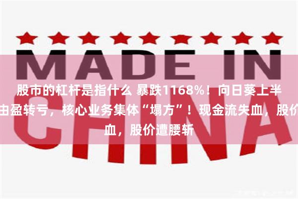股市的杠杆是指什么 暴跌1168%!向日葵上半年净利由盈转亏,核心业务集体“塌方”!现金流失血,股价遭腰斩
