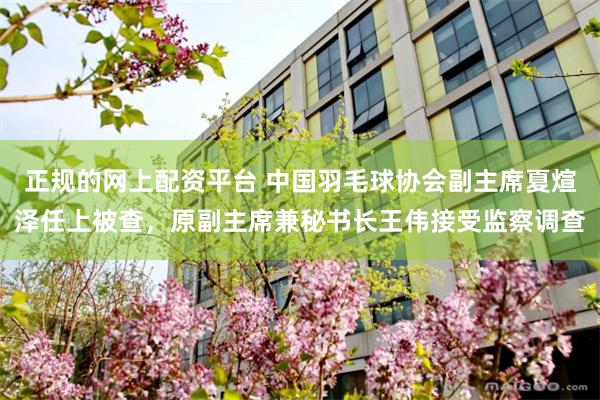 正规的网上配资平台 中国羽毛球协会副主席夏煊泽任上被查，原副主席兼秘书长王伟接受监察调查