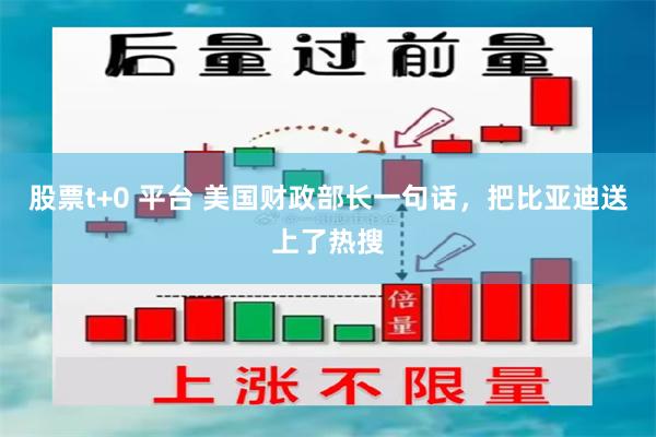 股票t+0 平台 美国财政部长一句话，把比亚迪送上了热搜