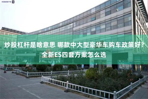 炒股杠杆是啥意思 哪款中大型豪华车购车政策好？全新ES四套方案怎么选