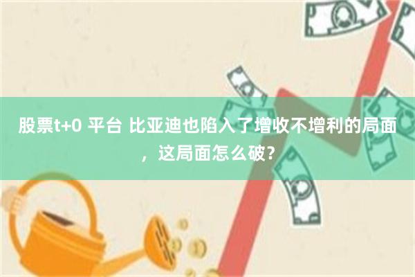 股票t+0 平台 比亚迪也陷入了增收不增利的局面，这局面怎么破？