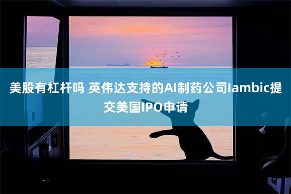 美股有杠杆吗 英伟达支持的AI制药公司Iambic提交美国IPO申请