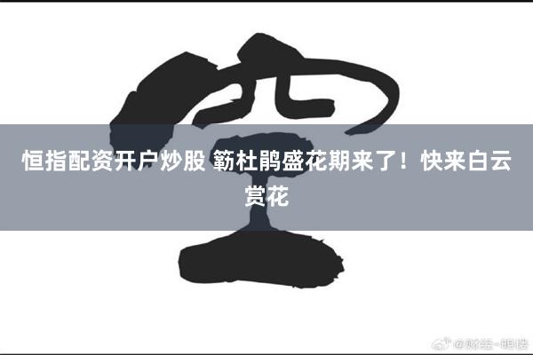 恒指配资开户炒股 簕杜鹃盛花期来了！快来白云赏花