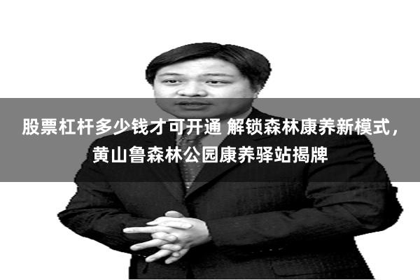 股票杠杆多少钱才可开通 解锁森林康养新模式,黄山鲁森林公园康养驿站揭牌
