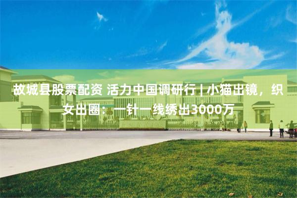 故城县股票配资 活力中国调研行 | 小猫出镜，织女出圈：一针一线绣出3000万