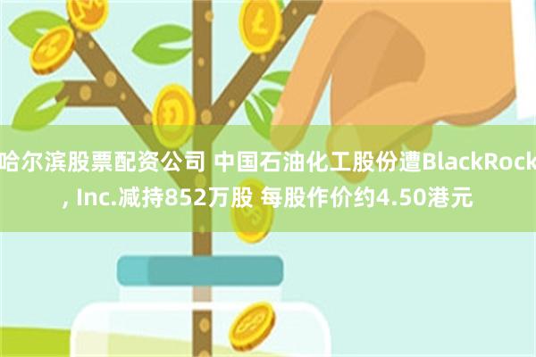 哈尔滨股票配资公司 中国石油化工股份遭BlackRock, Inc.减持852万股 每股作价约4.50港元