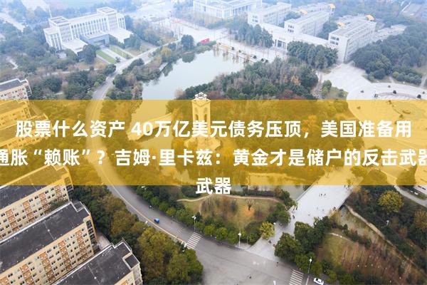 股票什么资产 40万亿美元债务压顶，美国准备用通胀“赖账”？吉姆·里卡兹：黄金才是储户的反击武器