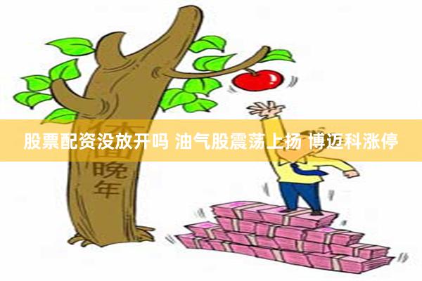股票配资没放开吗 油气股震荡上扬 博迈科涨停