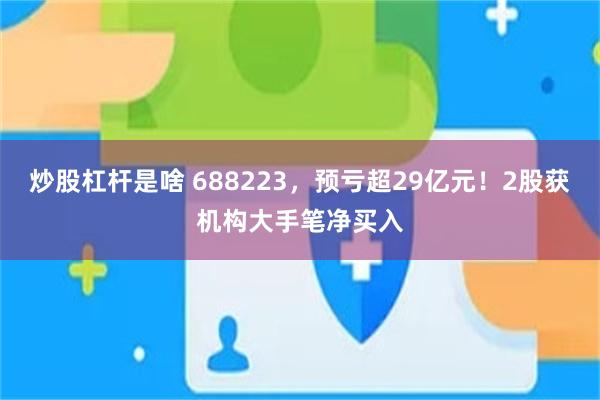 炒股杠杆是啥 688223，预亏超29亿元！2股获机构大手笔净买入
