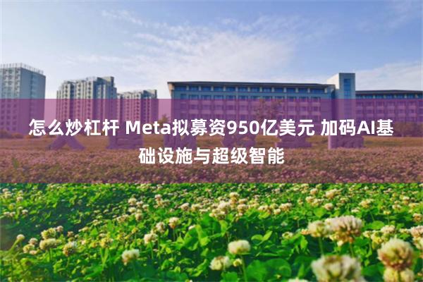 怎么炒杠杆 Meta拟募资950亿美元 加码AI基础设施与超级智能