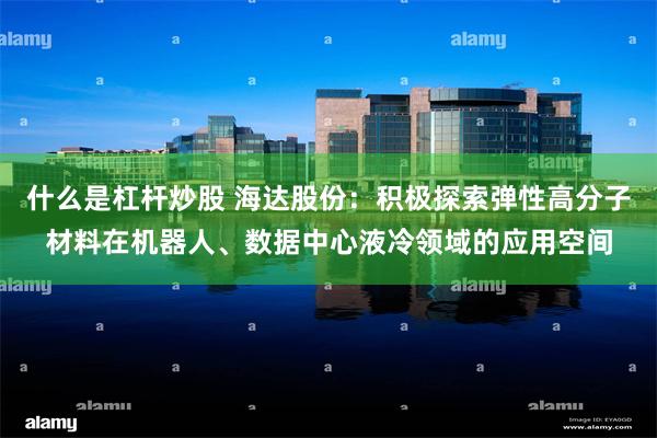 什么是杠杆炒股 海达股份：积极探索弹性高分子材料在机器人、数据中心液冷领域的应用空间
